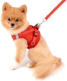 img 1 attached to SMALLLEE_LUCKY_STORE Harness Walking Escape Reflective