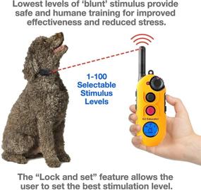 img 3 attached to Effortless Educator: Advanced 1/2 Mile Dog Training System