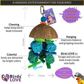 img 1 attached to 🐦 Fun Foraging Hanging Bird Cage Toy: Birds LOVE Coconut Shell with Vineballs for Small to Medium Birds - Ideal for African Grey, Caique, Small Macaws, and Amazons