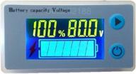 digital capacity indicator voltmeter temperature logo
