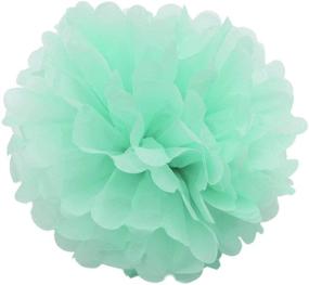 img 1 attached to 🎀 Chic Mint Pink Tissue Paper Pom Pom Set with Gold Accents - Perfect for Baby Showers, Weddings, and Bridal Showers!