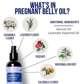 img 2 attached to Motherlove Organic Pregnant Belly Oil - 4oz | Prevent Stretch Marks, Soothe Itchy Skin | Herb-Infused Vegan Moisturizer w/ Lavender | Non-GMO, Cruelty-Free