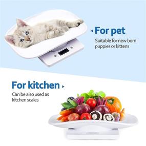 img 3 attached to 🐾 Portable Pet Digital Scale: Accurate Measurement for Puppies, Kittens, and Small Animals - 22 lb/10 kg Capacity