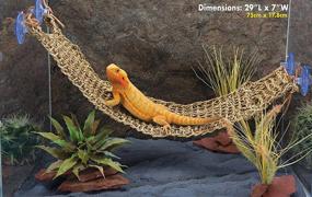 img 3 attached to 🦎 Explore the Penn-Plax Reptology Lizard Loungers: Premium Seagrass Fiber for Bearded Dragons, Anoles, Geckos, and More!