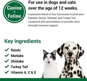 img 1 attached to 🐾 Дополнительная сила поддержки иммунитета для собак и кошек - Vet Classics CAS Options - Питательная добавка для здоровья домашних животных, уход за антиоксидантами - 120 шт.
