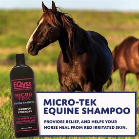 img 3 attached to Eqyss Micro-Tek Equine Shampoo: Instant Soothing Relief to Stop Itching, Scratching, and Biting
