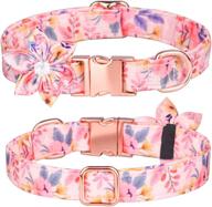 collar personalized pattern adjustable dogs（pink logo