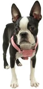 img 1 attached to Gooby - Small Dog Step-In Harness: Luxurious Microsuede Straps and Adjustable Three Point Design