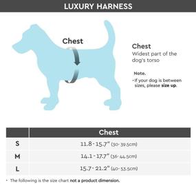 img 2 attached to Gooby - Small Dog Step-In Harness: Luxurious Microsuede Straps and Adjustable Three Point Design