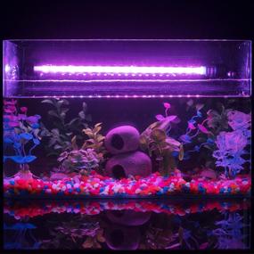 img 3 attached to 🐠 Enhance Your Aquarium with the XY-Firestar RGB Submersible Light - Timer, Dimmer, Remote Control, Multicolor Fish Light!