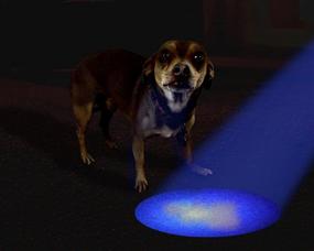 img 3 attached to Discover Hidden Pet Urine Stains with Ciao Chow Compact LED UV Blacklight Flashlight Kit - Includes Safety Glasses, Batteries, and User Guide!