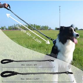 img 3 attached to Chooc6 Reflective Extendable Bungee Dog Leash, ideal for Medium to Large Dogs, in Grey and Orange