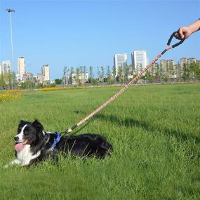 img 1 attached to Chooc6 Reflective Extendable Bungee Dog Leash, ideal for Medium to Large Dogs, in Grey and Orange