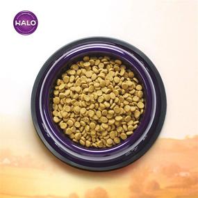 img 2 attached to Halo Dry High Protein Cat Food with Salmon & Whitefish