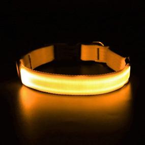 img 2 attached to 🐶 Flashseen LED Dog Collar: USB Rechargeable Night Safety Light for Large Dogs - Yellow