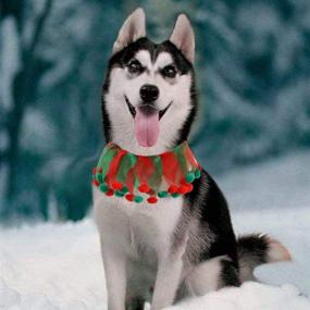 img 3 attached to Rainlemon Christmas Holiday Bandana Costume Dogs