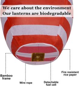 img 2 attached to American Lanterns Biodegradable Celebrations Eco Friendly