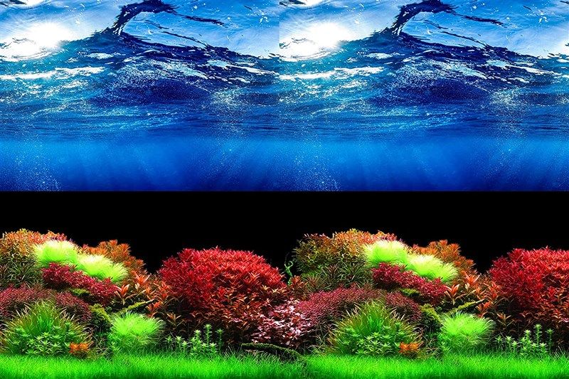 hitop aquarium background different 15 5h31 5l 로고