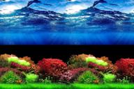 🐟 hitop 31.5'' x 15.7'' double sided aquarium background picture - 3 unique sets, offering 6 options, perfect for fish tank логотип