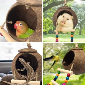 img 1 attached to Hanging Coconut Bird House with Ladder - Natural Fiber Nest for Parrot, Parakeet, Lovebird, Finch, Canary - Coconut Hide Swing Toys for Hamster - Bird Cage Accessories and Pet Bird Supplies