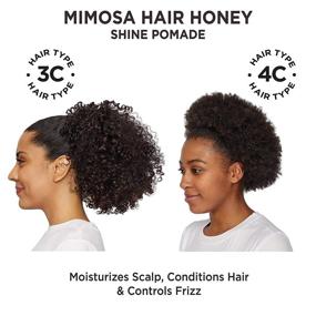 img 1 attached to 🍯 Восстанавливающая поддержка волос Mimosa Hair Honey от Carol's Daughter: питательное масло ши и какао для кудрявых, сухих и натуральных волос - 8 жидк. унц.