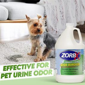 img 2 attached to 🌫️ ZORBX Multipurpose Odor Remover - Unscented, Safe for All (including Children), No Harsh Chemicals or Fragrances, Instantly Works, Stronger and Safer (1 Gal)