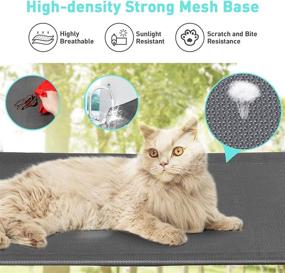 img 2 attached to 🐱 Large Cat Window Perch - Indoor Cat Hammock with Suction Cups - Strong Frame, Mesh Base, Soft Cushion - Supports up to 50lbs - Size: L24.8”xW13”xH19.7”