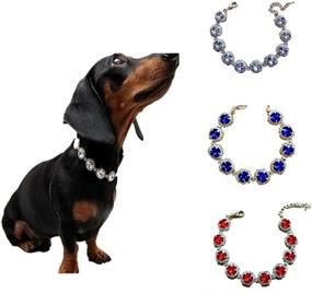 img 3 attached to 💎 RayMinsino Sparkling Diamond Necklace Jewelry for Pet Dress Up - Ideal for Small & Medium-Sized Cats and Dogs