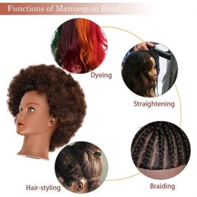 img 1 attached to 👩 African American Cosmetology Doll Head with 100% Human Hair - Manikin Head for Hairdresser Styling Training and Practice Braiding - Curly Hair Mannequin Head