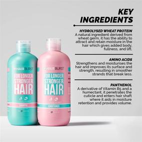 img 1 attached to ✨ HAIRBURST SLS Free Shampoo and Conditioner, Moisturizing for Longer Strong Hair, All Hair Types, Parabens Free, Color Safe, 2 bottles x 350 mL