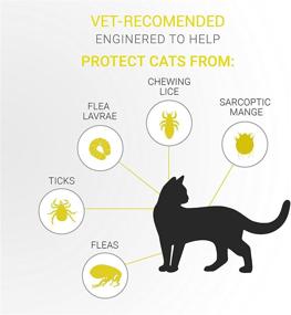 img 2 attached to 🐱 SOBAKEN Flea and Tick Prevention for Cats: Natural Collar with 8 Month Protection, One Size Fits All - Supporting Charity