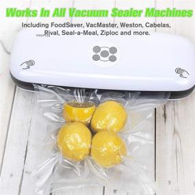 img 3 attached to 🍱 100 Count TashiLiving Vacuum Sealer Bags for Food - Quart Size 8x12 inch, Pre-cut Bags for Freezer Sous Vide - BPA-Free 4mil