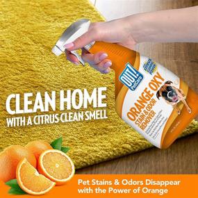 img 1 attached to 🍊 OUT! PetCare Orange Oxy Stain & Odor Remover - Oxy Clean Pet Stain and Odor Eliminator, 32 oz