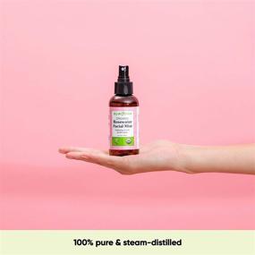 img 3 attached to 🌹 Sky Organics Organic Rosewater Facial Mist (4 fl oz.) Soothing Rose Water Spray 100% Pure USDA Organic Toner Makeup Setting Spray Alcohol-Free Mist for All Skin Types