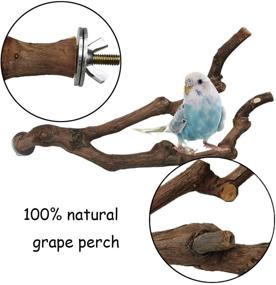 img 3 attached to 🐦 Kathson Natural Parrot Perch: Wild Grape Stick Paw Grinder for Budgies, Cockatiels, and Lovebirds