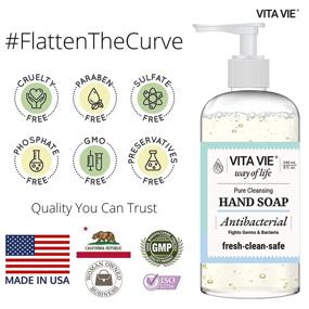 img 1 attached to 🧼 VITA VIE Hand Soap 3-Pack - 8 oz each - Alcohol-free, Paraben-free, Sulfate-free - Made in USA