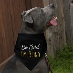 img 2 attached to 🐶 Black Pet Bandana - Be Kind I'm Blind Dog