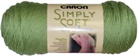 img 1 attached to 🧶 Пряжа из коллекции Caron Simply Soft - Aqua Mist, 6 унций / 315 ярдов - один клубок