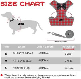 img 2 attached to 🐾 Rypet Small Dog Harness and Leash Set - Premium No Pull Pet Harness with Soft Mesh Nylon Vest for Small Dogs and Cats