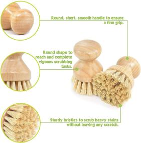 img 2 attached to 🥥 Natural Coconut Fiber Kitchen Scrub Brush Set - Ideal for Dish, Bottle, Vegetable, Pan and Pot Cleaning - Bamboo Handle (Pack of 4)