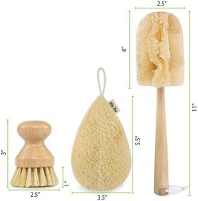 img 3 attached to 🥥 Natural Coconut Fiber Kitchen Scrub Brush Set - Ideal for Dish, Bottle, Vegetable, Pan and Pot Cleaning - Bamboo Handle (Pack of 4)