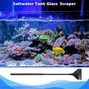 img 2 attached to 🐠 SINLASA Algae Scraper: Premium Fish Tank Glass Cleaner with 10 Blades for Effective Aquarium Maintenance