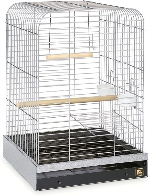  LINSHRY Bird Training Stand, Portable Tabletop Bird Perch Spin  Training Perch for Parakeets Conures Lovebirds or Cockatiels : Pet Supplies