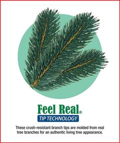 img 2 attached to 🎄 24-Inch National Tree Company Pre-Lit 'Feel Real' Green Christmas Wreath – Snowy Sheffield Spruce, Decorated with Frosted Branches, White Lights – Christmas Collection