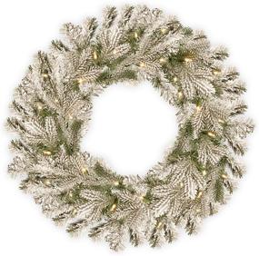 img 3 attached to 🎄 24-Inch National Tree Company Pre-Lit 'Feel Real' Green Christmas Wreath – Snowy Sheffield Spruce, Decorated with Frosted Branches, White Lights – Christmas Collection