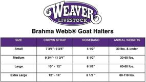 img 1 attached to 🐐 Brahma Webb Brown Goat Halter by Weaver Leather: Top-Quality Livestock Gear