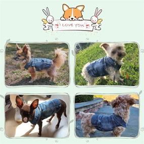 img 1 attached to Stylish Denim Dog Clothes: QEQRUG Dog Jean Jacket - Perfect Outfits for Dogs and Cats of All Sizes