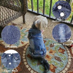 img 2 attached to Stylish Denim Dog Clothes: QEQRUG Dog Jean Jacket - Perfect Outfits for Dogs and Cats of All Sizes