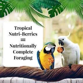 img 3 attached to 🐦 LAFEBER's Tropical Fruit Nutri-Berries: Premium Pet Bird Food, Crafted with Non-GMO Ingredients and Human-Grade Standards