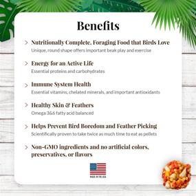 img 2 attached to 🐦 LAFEBER's Tropical Fruit Nutri-Berries: Premium Pet Bird Food, Crafted with Non-GMO Ingredients and Human-Grade Standards